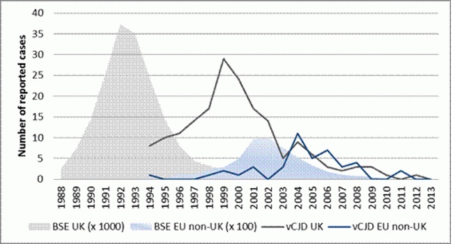 Aantal gerapporteerde (waarschijnlijke en bevestigde) gevallen van BSE en vCJD in de EU 