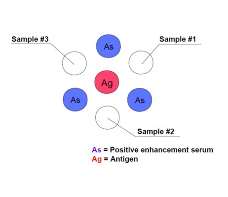 Schematische weergave inzetschema Coggins test