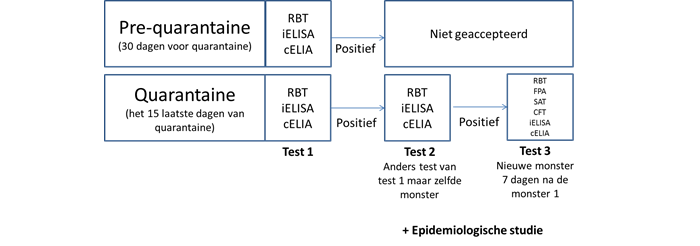 Figuur 1: schematische toelatingsprotocol in KI met betrekking tot Brucella suis.